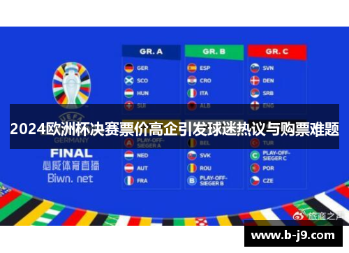 2024欧洲杯决赛票价高企引发球迷热议与购票难题